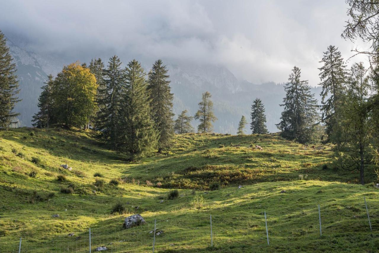 Appartement Alpblick Zugspitze Garmisch-Partenkirchen